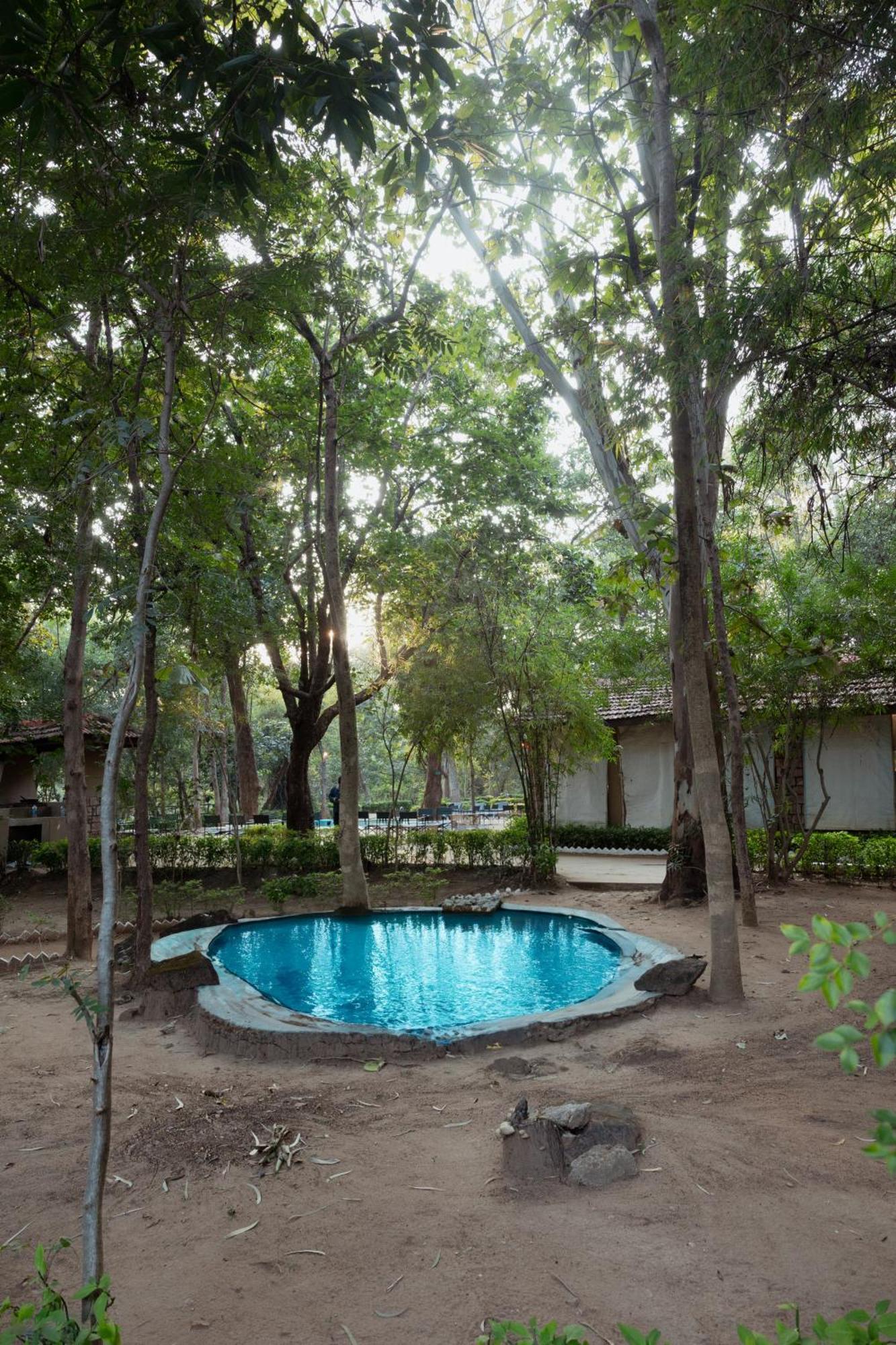 Tiger Trails Resort Tāla Екстериор снимка