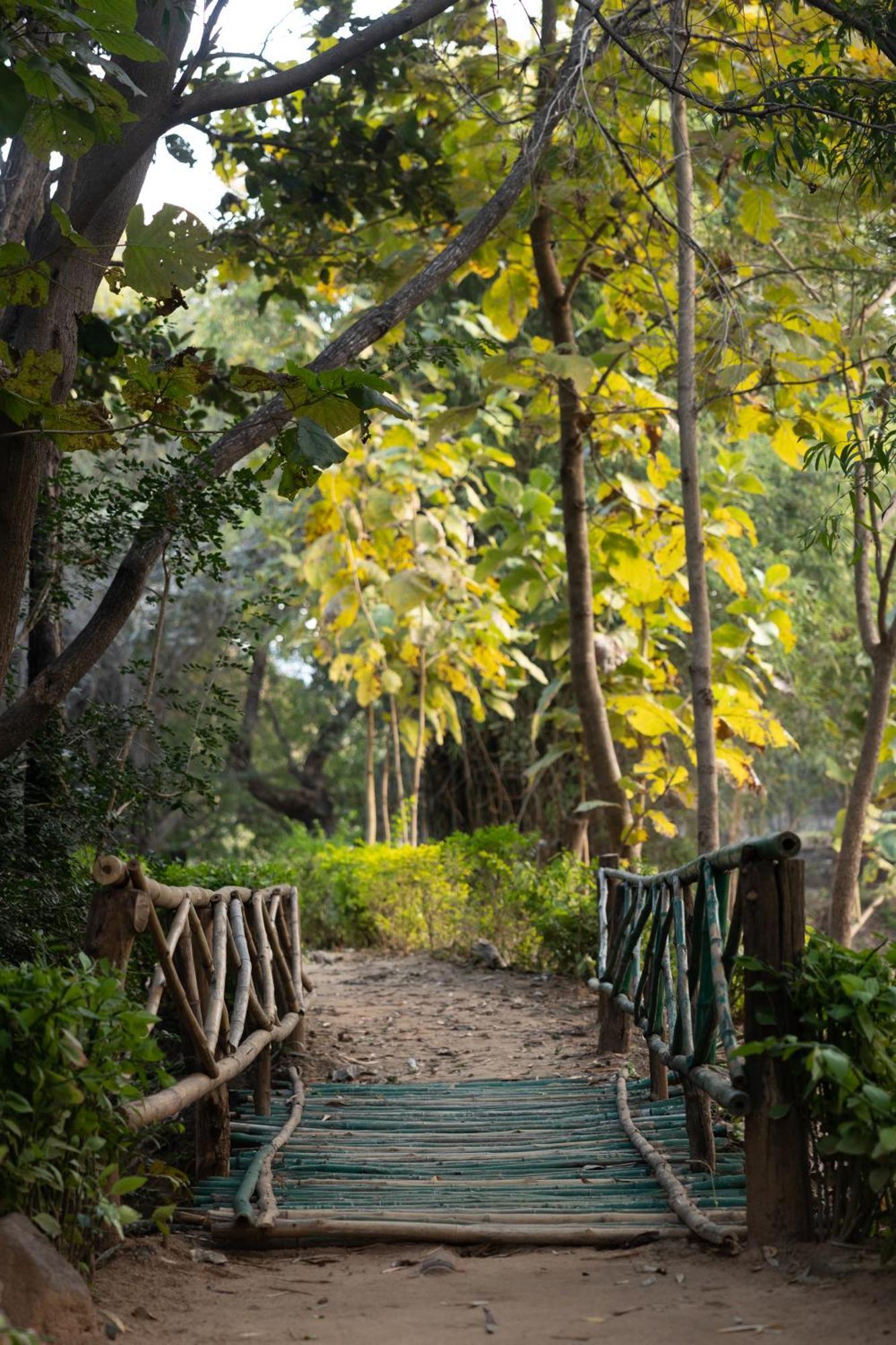 Tiger Trails Resort Tāla Екстериор снимка