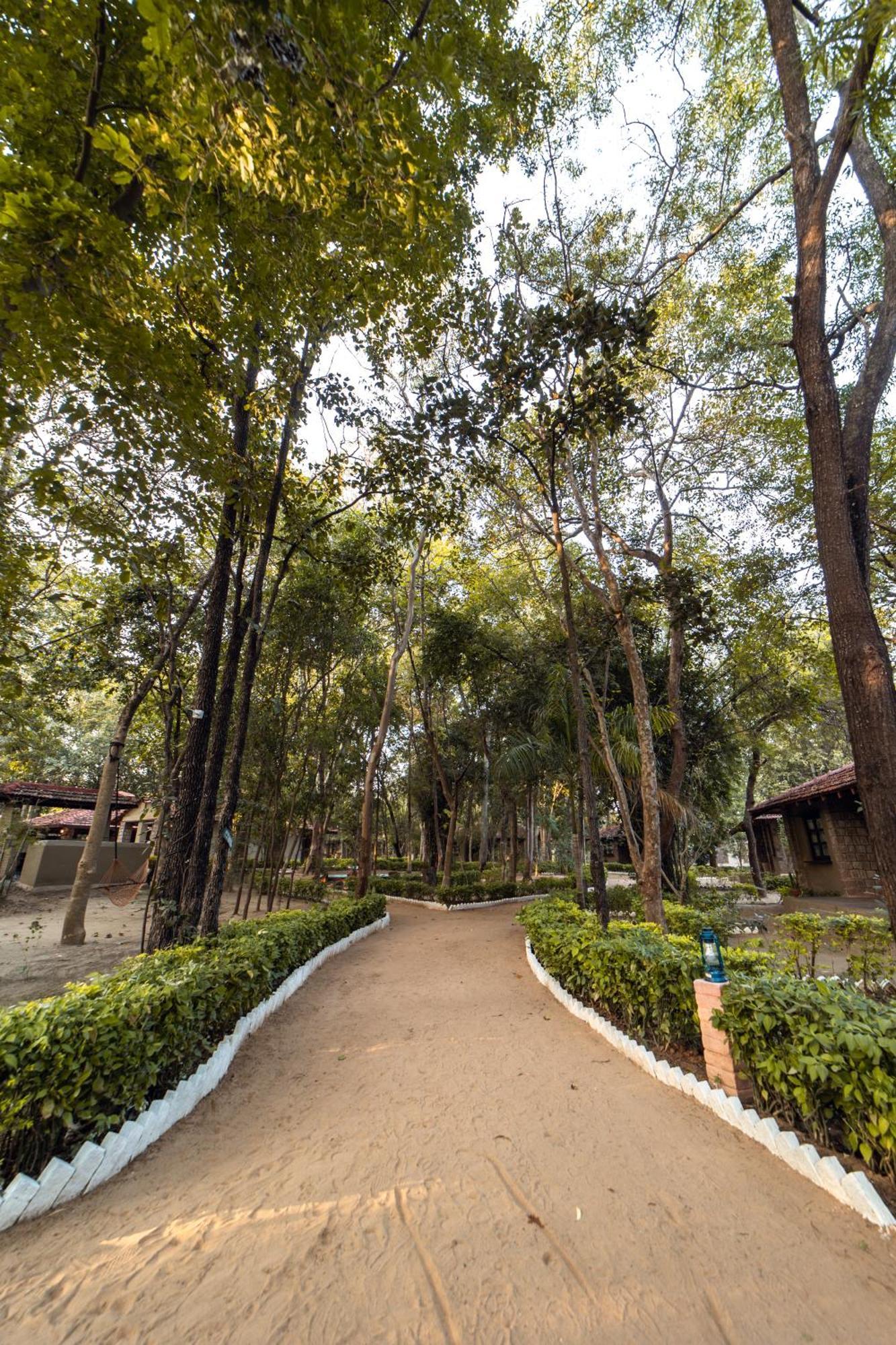 Tiger Trails Resort Tāla Екстериор снимка