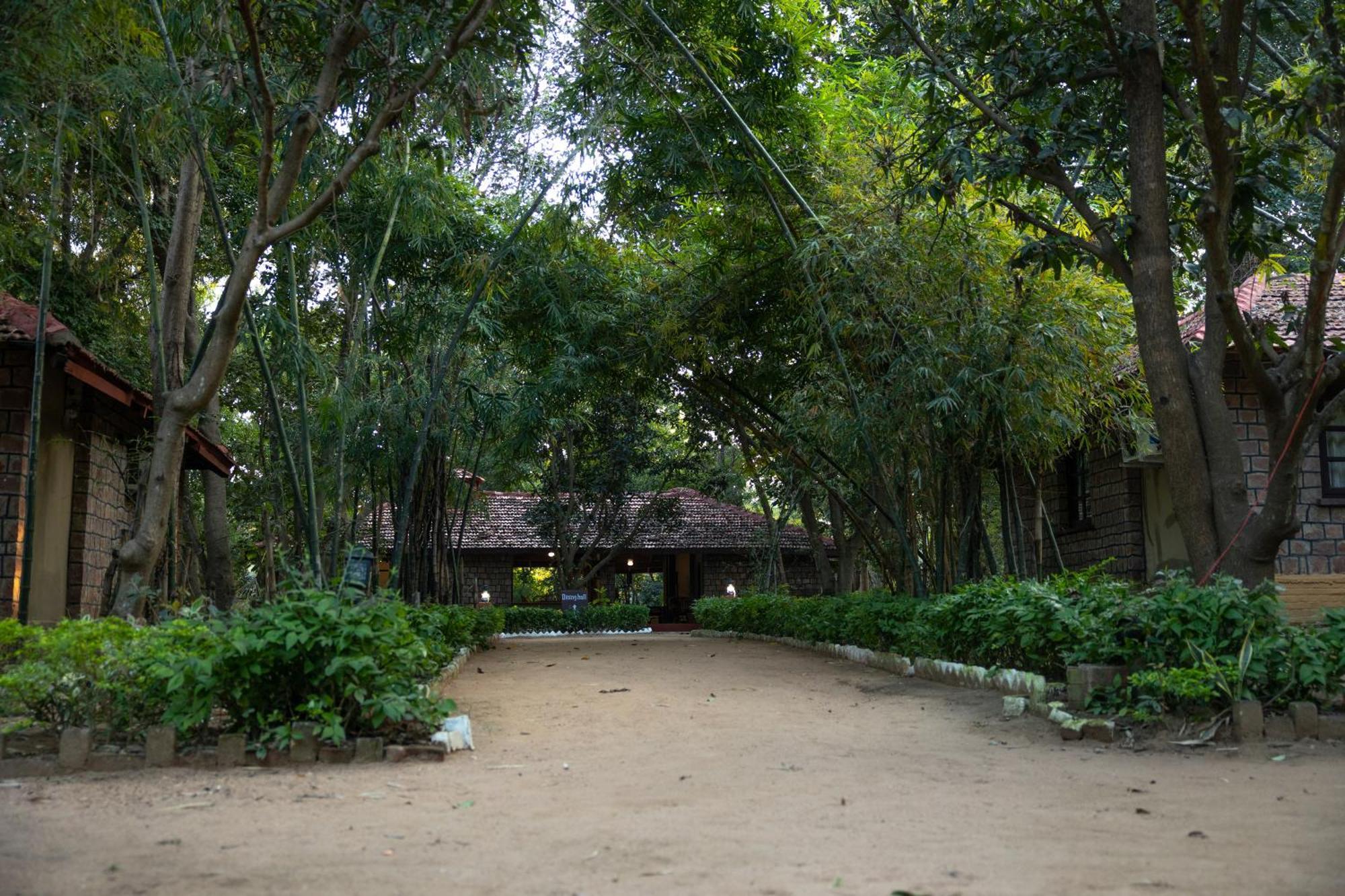 Tiger Trails Resort Tāla Екстериор снимка